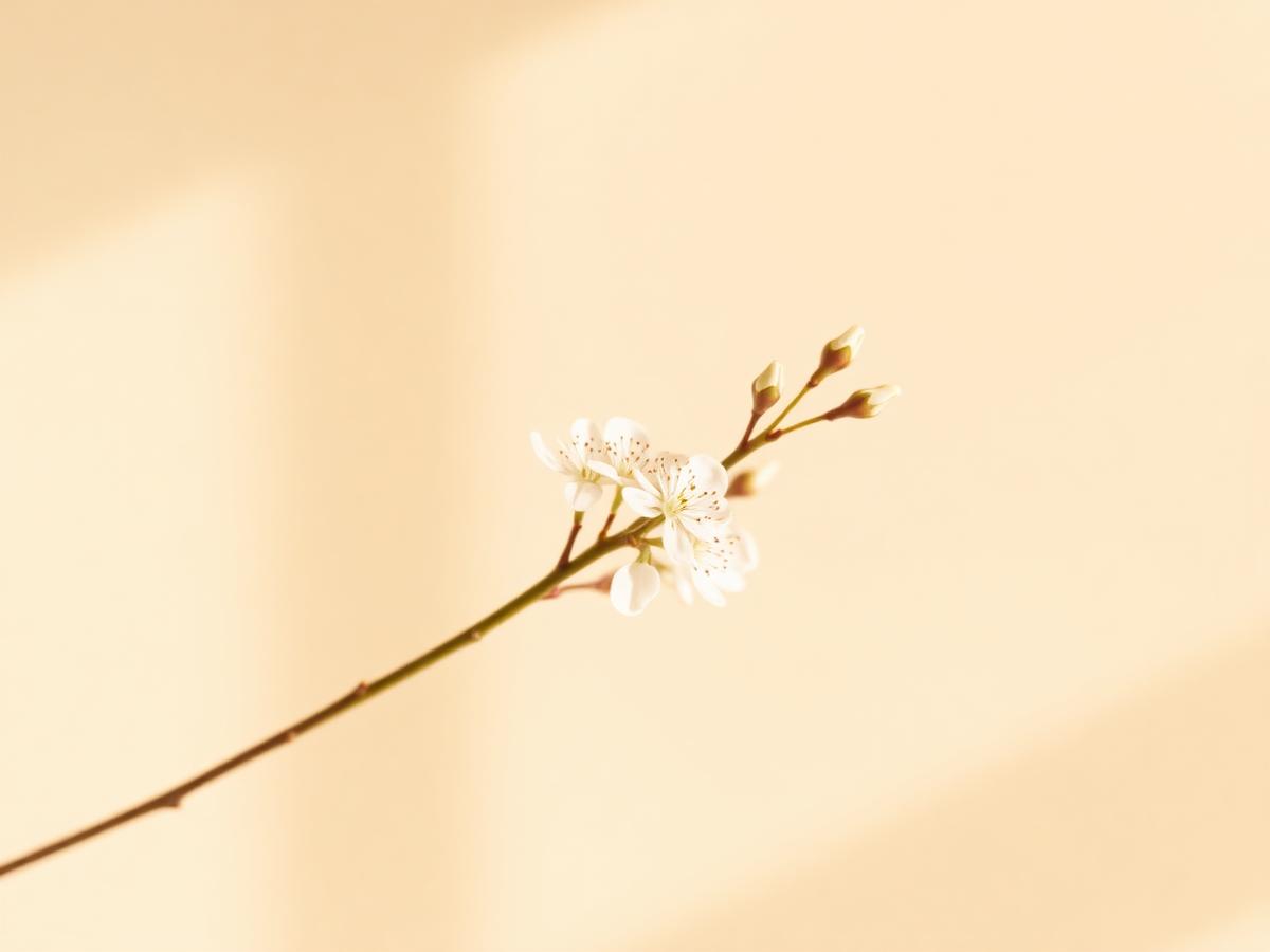 A single white blossom branch against a warm cream background